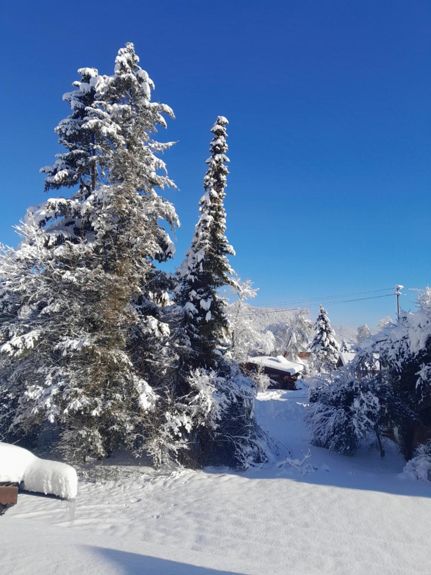 Gaestehaus Zunterer Wallgau Exteriér fotografie